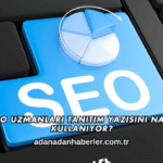 SEO Uzmanları Tanıtım Yazısını Nasıl Kullanıyor?