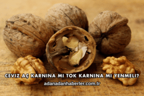 Ceviz Aç Karnına mı Tok Karnına mı Yenmeli?