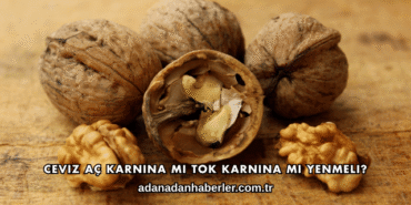 Ceviz Aç Karnına mı Tok Karnına mı Yenmeli?