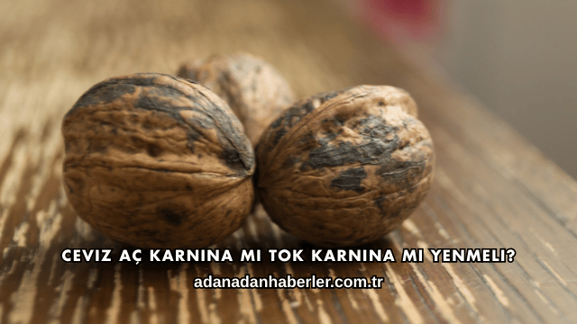 Ceviz Aç Karnına mı Tok Karnına mı Yenmeli?