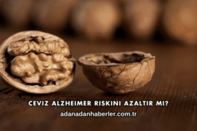 Ceviz Alzheimer Riskini Azaltır mı?