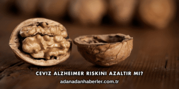 Ceviz Alzheimer Riskini Azaltır mı?