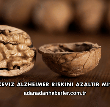 Ceviz Alzheimer Riskini Azaltır mı?