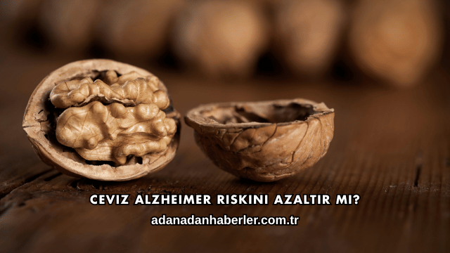 Ceviz Alzheimer Riskini Azaltır mı?