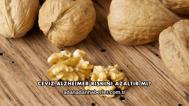 Ceviz Alzheimer Riskini Azaltır mı?