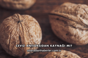 Ceviz Antioksidan Kaynağı mı?