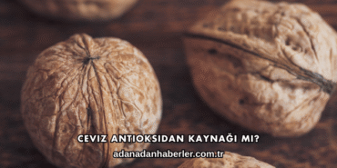 Ceviz Antioksidan Kaynağı mı?