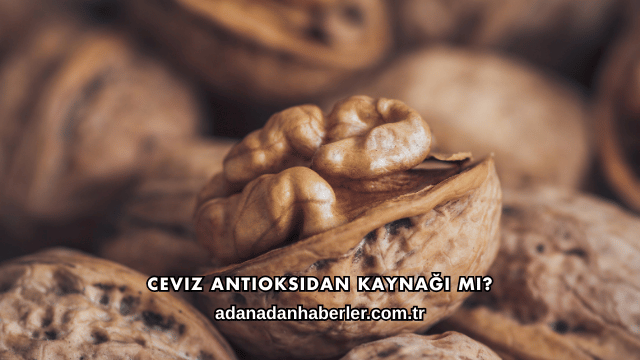 Ceviz Antioksidan Kaynağı mı?