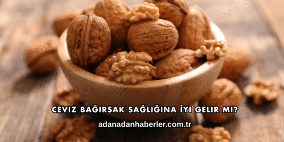 Ceviz Bağırsak Sağlığına İyi Gelir mi?