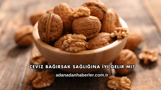 Ceviz Bağırsak Sağlığına İyi Gelir mi