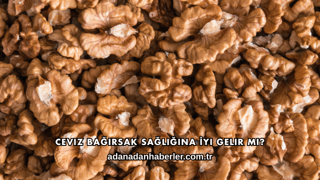 Ceviz Bağırsak Sağlığına İyi Gelir mi