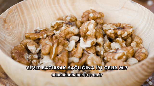 Ceviz Bağırsak Sağlığına İyi Gelir mi