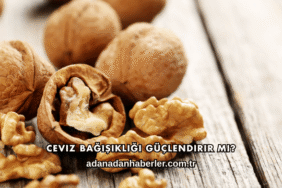 Ceviz Bağışıklığı Güçlendirir mi?
