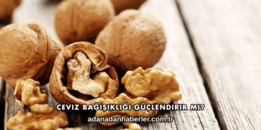 Ceviz Bağışıklığı Güçlendirir mi?