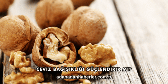 Ceviz Bağışıklığı Güçlendirir mi?