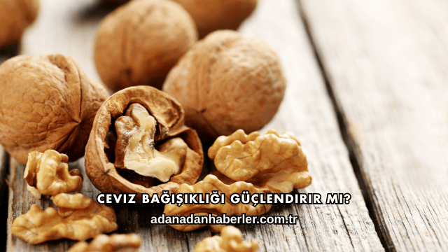 Ceviz Bağışıklığı Güçlendirir mi?
