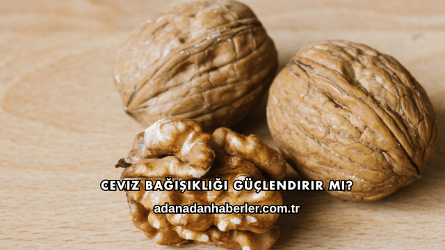 Ceviz Bağışıklığı Güçlendirir mi?