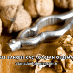 Ceviz Bahçesi Kaç Ağaçtan Oluşmalı?