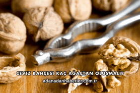 Ceviz Bahçesi Kaç Ağaçtan Oluşmalı?