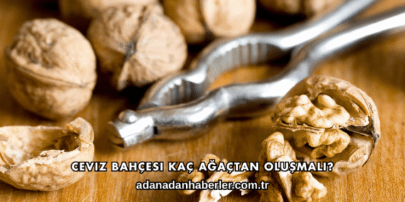 Ceviz Bahçesi Kaç Ağaçtan Oluşmalı?