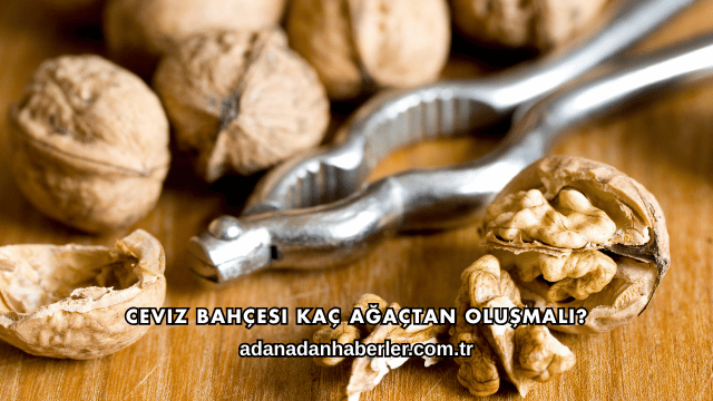 Ceviz Bahçesi Kaç Ağaçtan Oluşmalı?