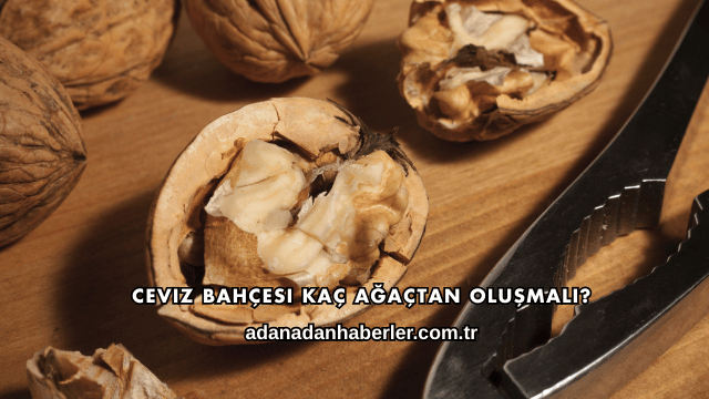 Ceviz Bahçesi Kaç Ağaçtan Oluşmalı?