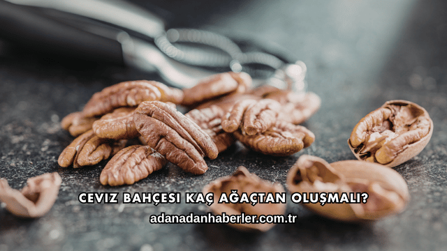 Ceviz Bahçesi Kaç Ağaçtan Oluşmalı?
