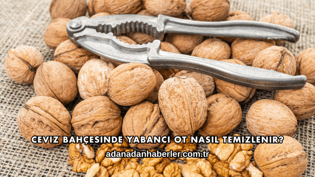 Ceviz Bahçesinde Yabancı Ot Nasıl Temizlenir?