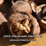 Ceviz Çocuklara Verilir mi?