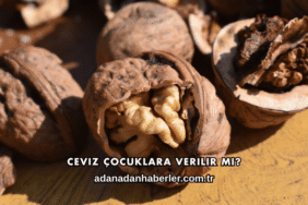 Ceviz Çocuklara Verilir mi?