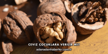 Ceviz Çocuklara Verilir mi?