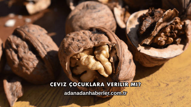 Ceviz Çocuklara Verilir mi?