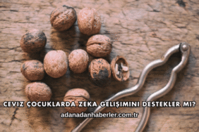 Ceviz Çocuklarda Zeka Gelişimini Destekler mi?