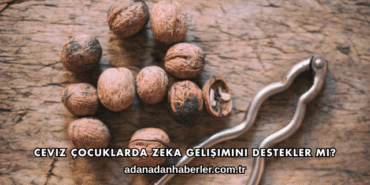 Ceviz Çocuklarda Zeka Gelişimini Destekler mi?