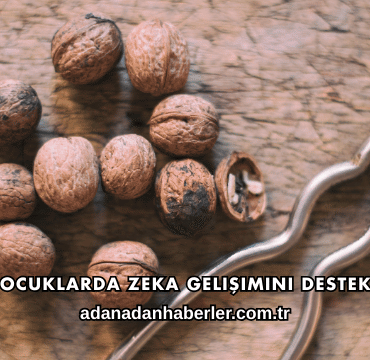 Ceviz Çocuklarda Zeka Gelişimini Destekler mi?