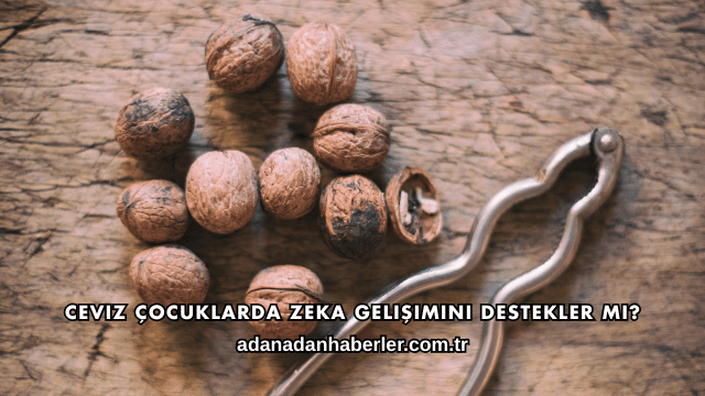 Ceviz Çocuklarda Zeka Gelişimini Destekler mi?