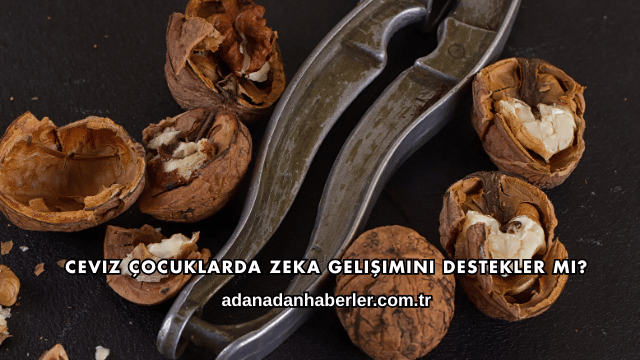 Ceviz Çocuklarda Zeka Gelişimini Destekler mi?