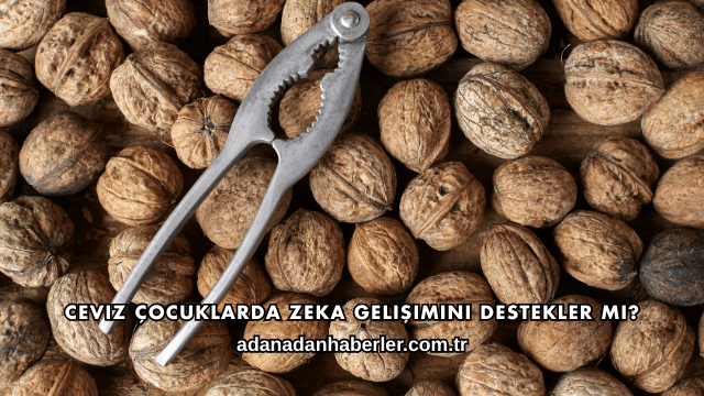 Ceviz Çocuklarda Zeka Gelişimini Destekler mi?