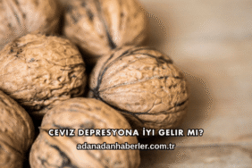 Ceviz Depresyona İyi Gelir mi?