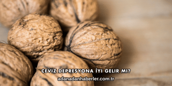 Ceviz Depresyona İyi Gelir mi?