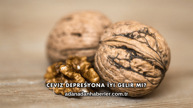 Ceviz Depresyona İyi Gelir mi?