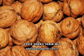 Ceviz Enerji Verir mi?