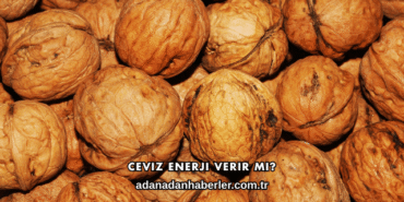 Ceviz Enerji Verir mi?