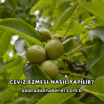 Ceviz Ezmesi Nasıl Yapılır?