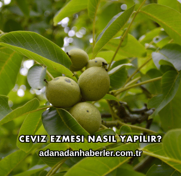 Ceviz Ezmesi Nasıl Yapılır?