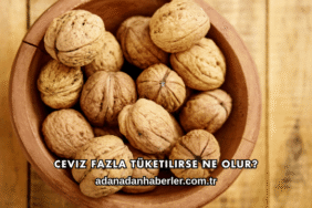 Ceviz Fazla Tüketilirse Ne Olur?