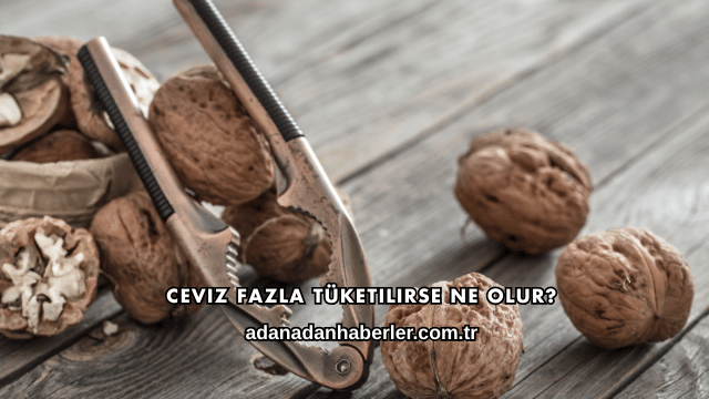 Ceviz Fazla Tüketilirse Ne Olur?
