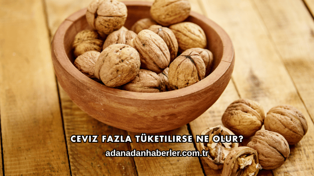 Ceviz Fazla Tüketilirse Ne Olur?