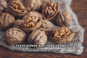 Ceviz Günde Kaç Tane Yenmeli?