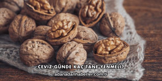 Ceviz Günde Kaç Tane Yenmeli?